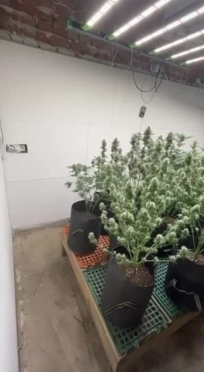 ��������� ������� �� ����������� �������