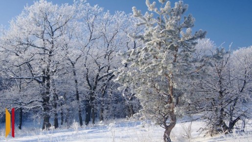 ��������� � �������� �������� ������� ����������