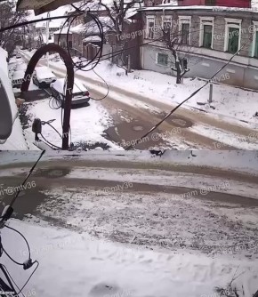 Свора собак бросается на людей на улице 25 Октября