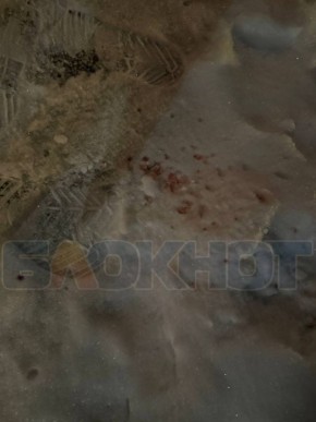 ���� � �� ��� ������ ������ � ��������