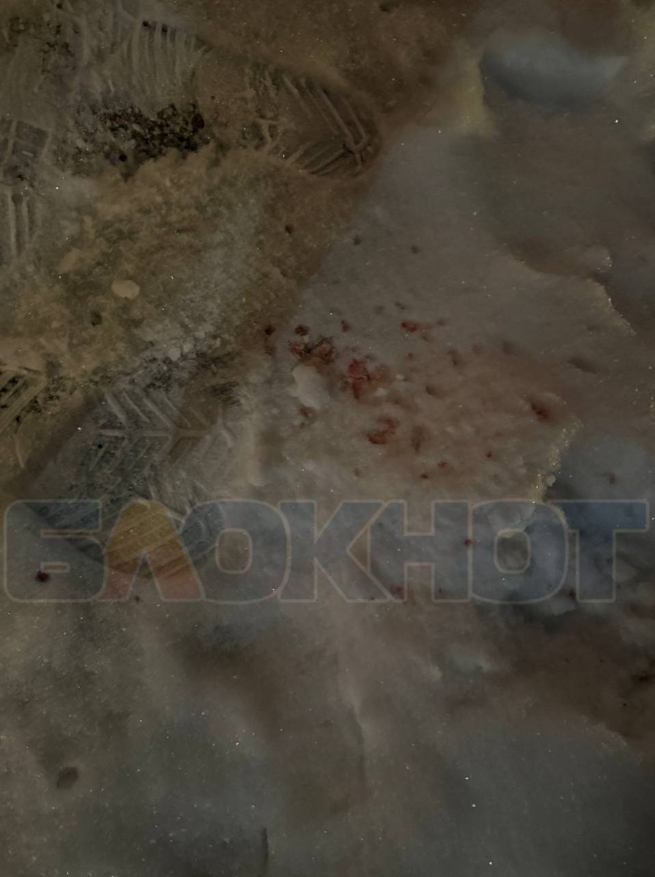 Кого и за что избили битами в Воронеже