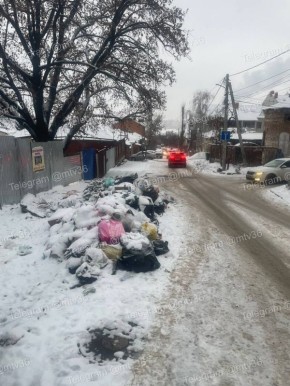 Возбуждено уголовное дело после нападения собак на девушку на улице 25 Октября