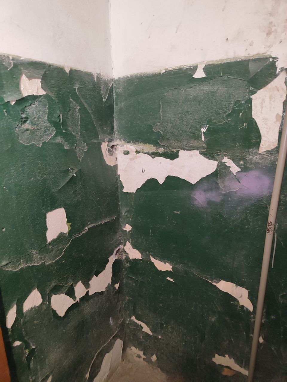 Хотела сообщить о бездействии УК Дипломат Хотела сообщить о бездействии УК Дипломат