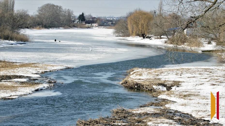 По уровню тепла 2025 год стал вторым в истории Хоперского заповедника Воронежской области