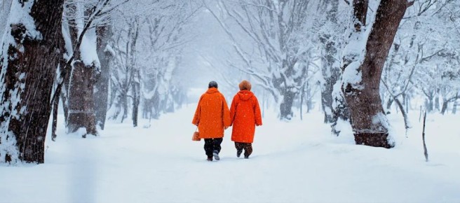 Как забрать накопительную пенсию в 2026 году