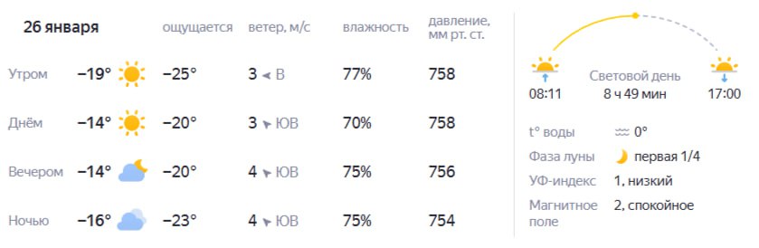 сегодня на работу только на лыжах
