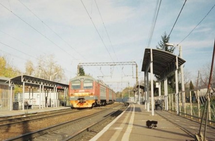 ���� ��������� ����� ������: ������ ����������� ������� ������� ������� ���������� ����������