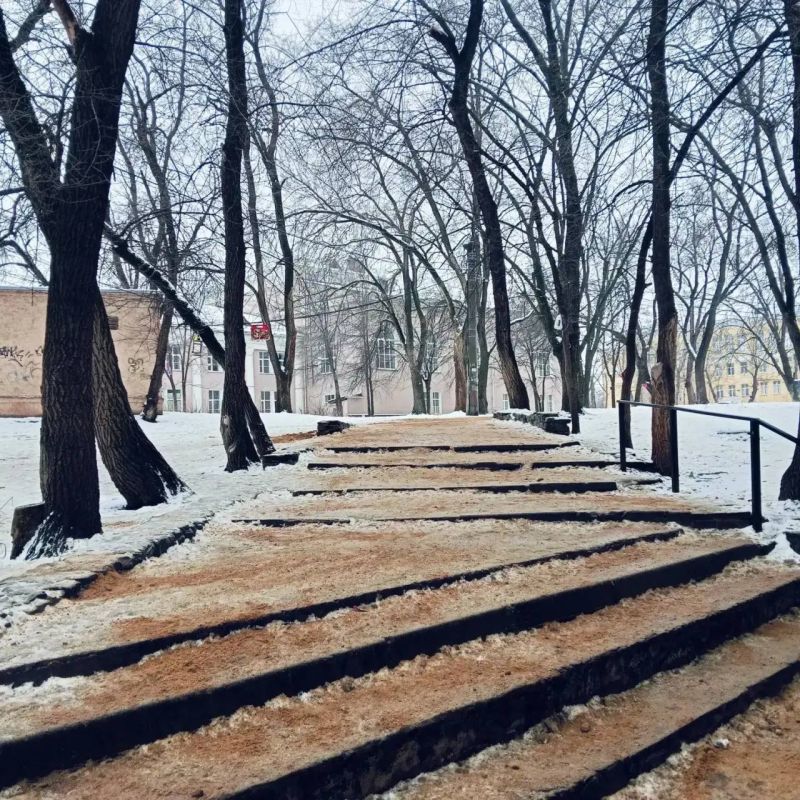 #������_�������� ���� 28 ������