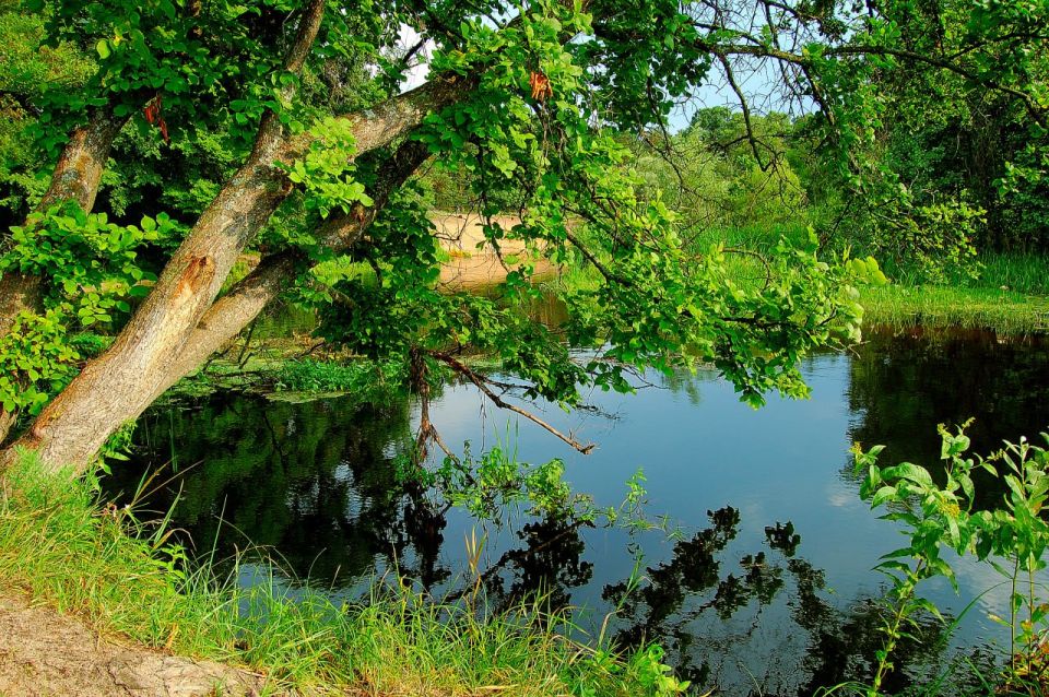 � ����������� ������� ����������� ������� ��������� �� 30%