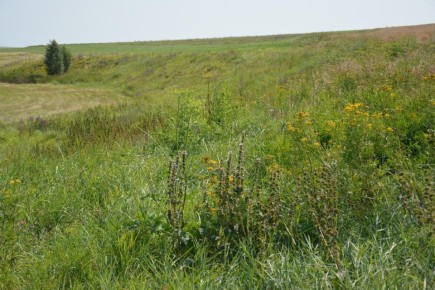 ������ ����� ���������� ��������� ���������� �������� � ����������� �������