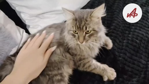 ���� ����, ������� ������ �� ������� �� �� ������� � �������, ����� ����� ������ ������ ���� �������