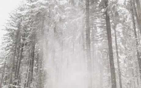 � ����������� ������� �������� ��������� ������� �������� ���������