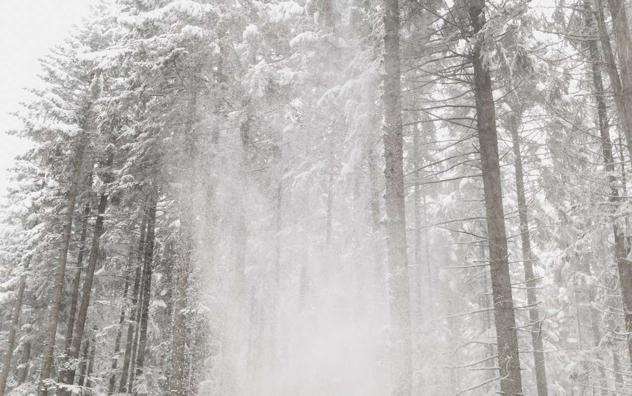 В Воронежской области объявили оранжевый уровень погодной опасности
