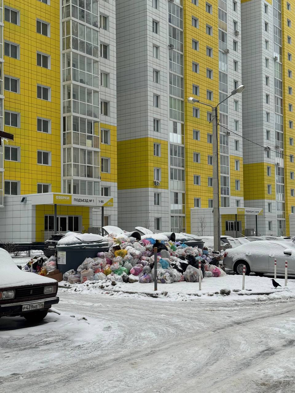 Нечищеные дороги стали причиной мусорного коллапса в воронежском ЖК Нечищеные дороги стали причиной мусорного коллапса в воронежском ЖК