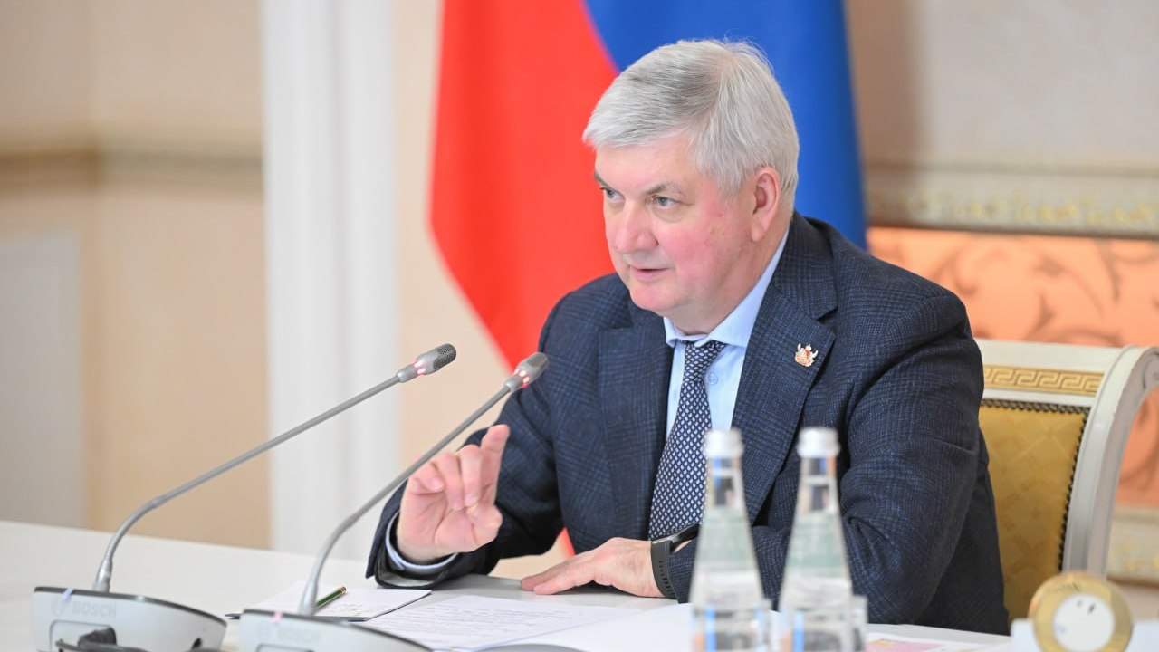 Губернатор о работе служб в снегопад: «Грядущая непогода — это тест на их профпригодность»