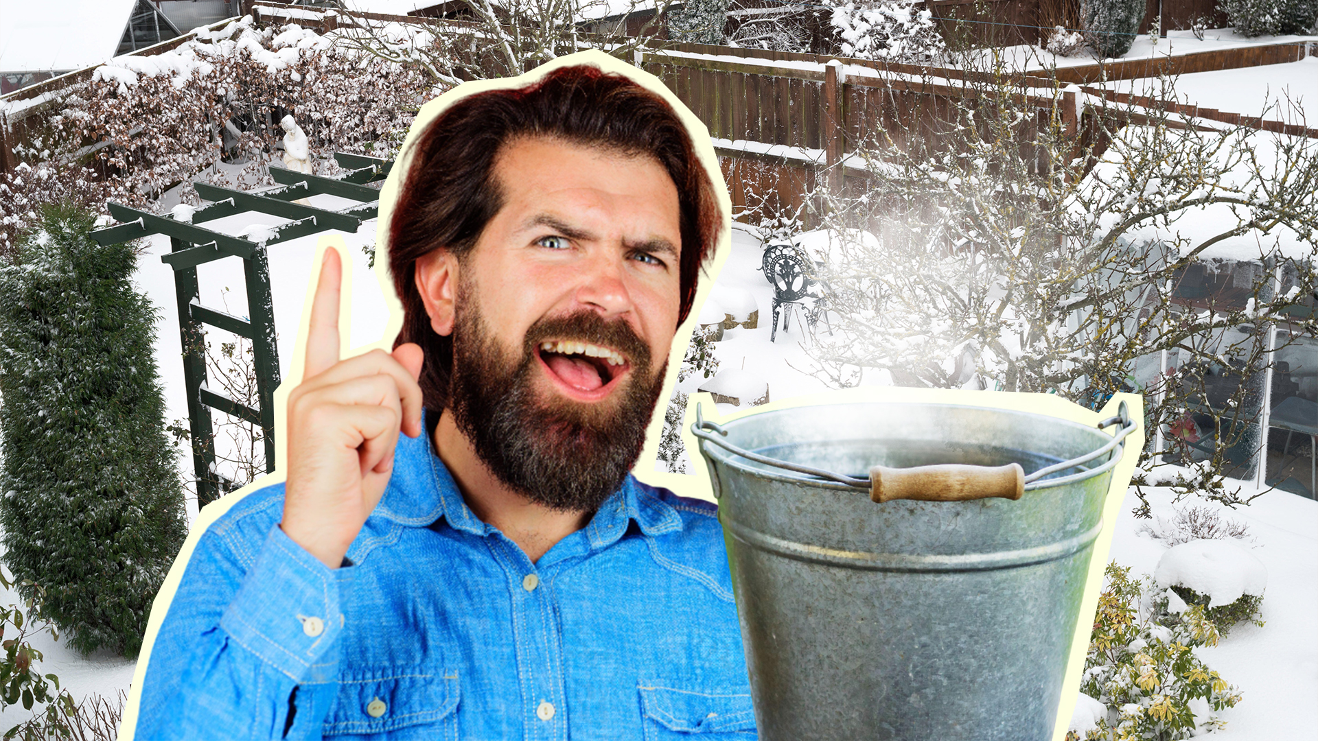 «Бегут как ненормальные»: помогает ли кипяток бороться с вредителями деревьев