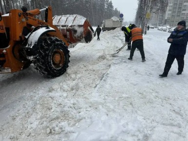 � ������� ���� � ���� �������� ������� 2,5 ���