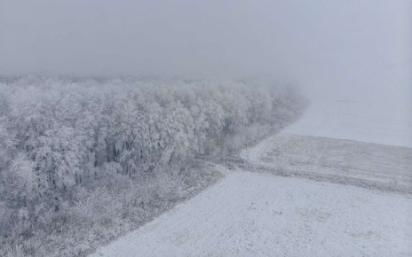 В первую неделю февраля в Воронежской области ожидаются аномальные холода