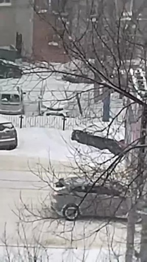 ������ ���������� � ���� �� ������ � �����: �������� ������� ������ �������������� �������� � ��������