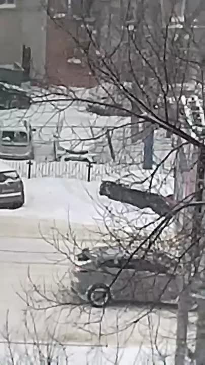 Машины застревают и люди по колено в снегу: обратную сторону работы коммунальщиков показали в Воронеже