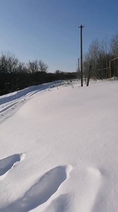 ������ �����, ��������� � ����� ������� �� ���� ������� ����������� ������, ��� � ��� ���, ������ ��� �������