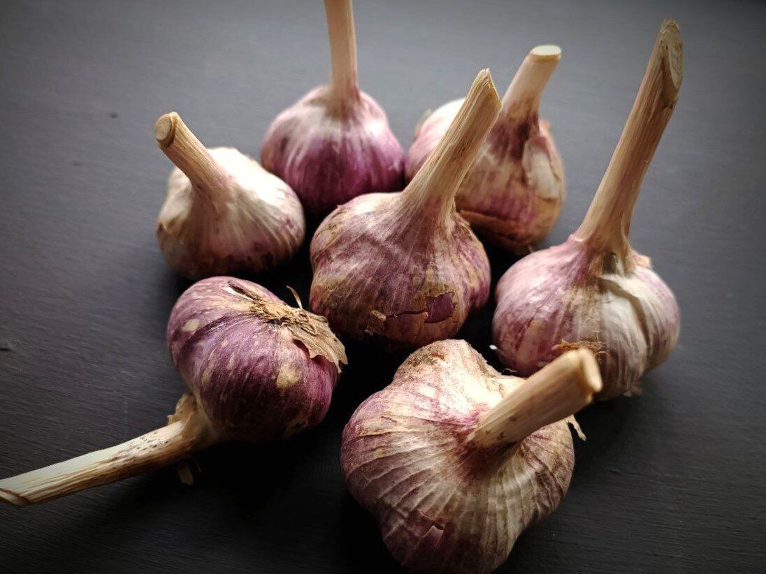 Как правильно подготовить грядки для озимого чеснока