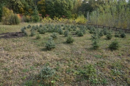 ������� ������������������ � ������� ��������� ������� � 2,3 ����