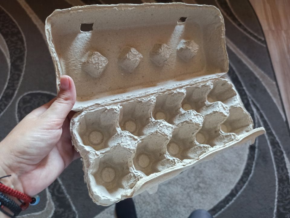 Как яичные лотки помогут сохранить урожай на зиму