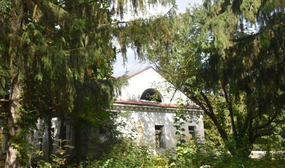 ���� ����������� ������� � ����������