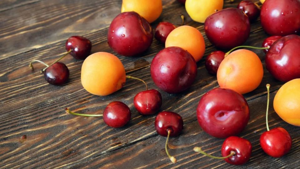 Почему не стоит сажать косточковые культуры осенью?