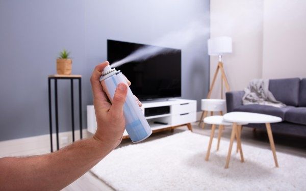 Как избавиться от запаха в квартире: советы, чтобы убрать любой неприятный запах