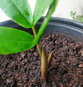 �� �������� � ���������� ��������: ������� ����� �������������