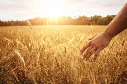 ������� ��������������: ��� ����������������� ������ �����