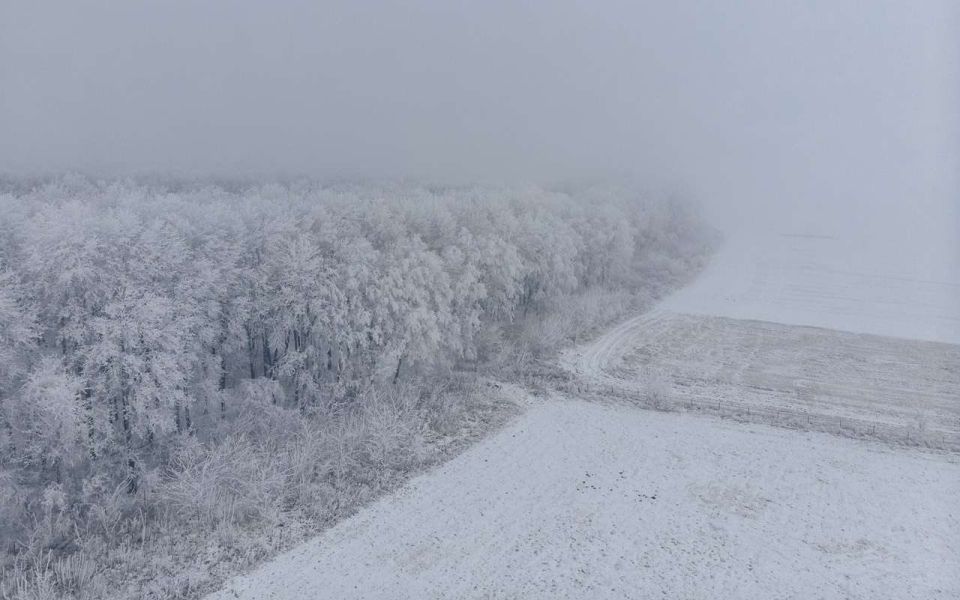 � ����������� ������� �������� ������ ������� �������� ��������� �� ���� �����������