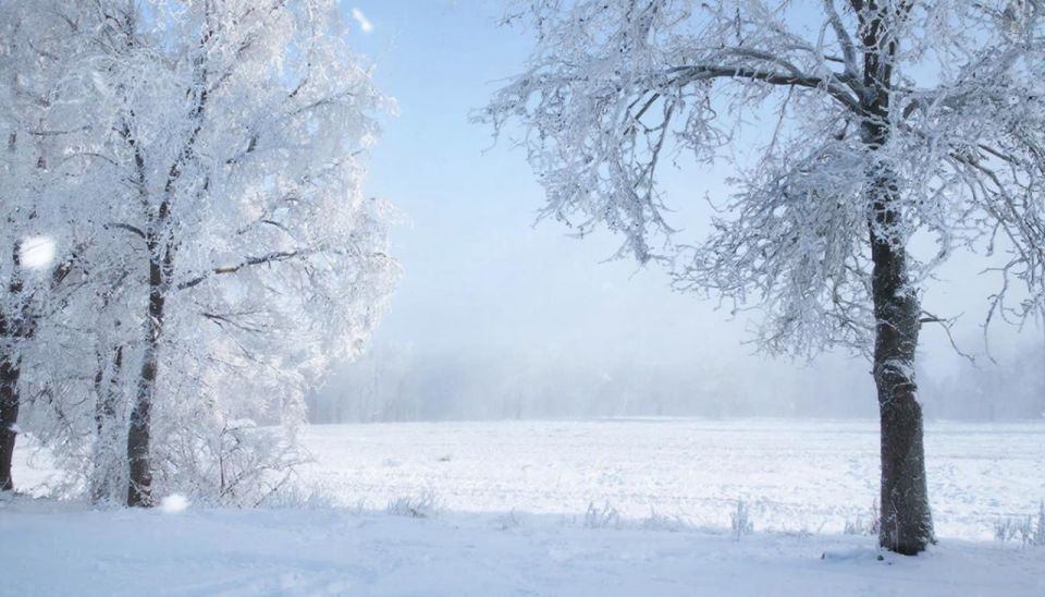 ������ ����� 2026 ���� ��������, ������ ���� ��� �� �����������, � ������ �� ���� ������� ����������: �� ������ ������ ����������� ��� ��� �� �������� ������ ������������ ����, ������ ���� �������, � ��������� ������ ��...