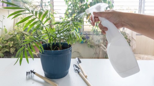 ������� ������� � ������ ��� ������� ��������: ��������� �������� ������ ��� �������