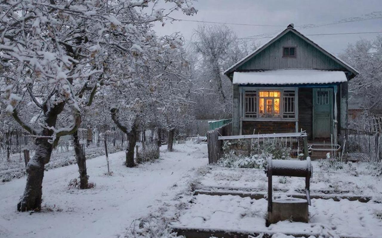 В Воронежской области выявили шестой с начала 2026 года и первый в текущем месяце случай заражения бешенством