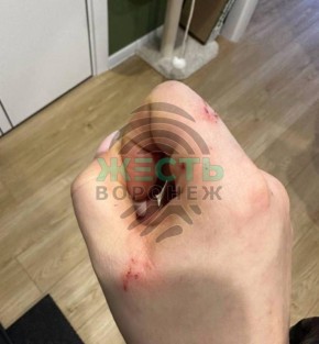 � ����� � �������� ����� ������� � ����� ����� ��������