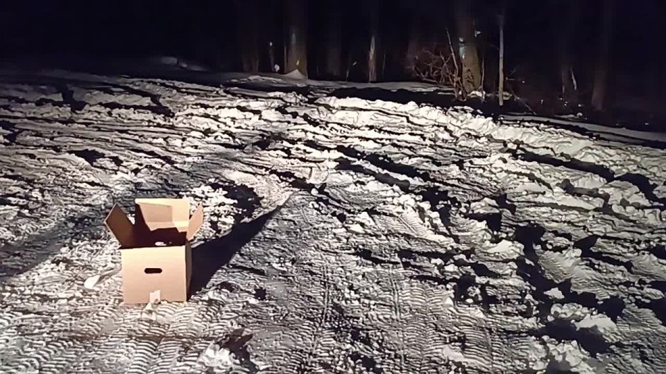 ����������� ��������� �������� � ��������� �� ���� ����, �������� ��� ������