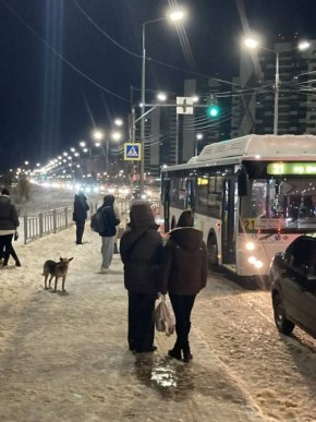 ������� �� ��������� ��������� ������������� ������ 752 ������ �������