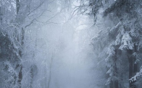 В Воронежской области минимум на сутки продлили желтый уровень погодной опасности