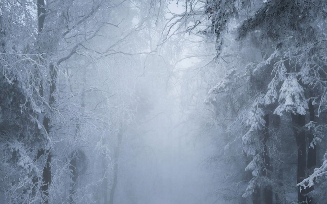 В Воронежской области минимум на сутки продлили желтый уровень погодной опасности
