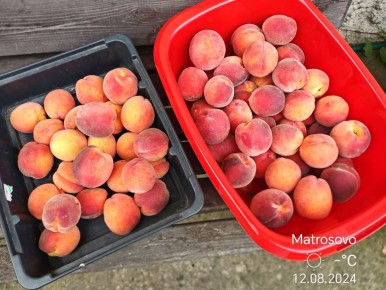 �������� �����: galeta � ������ ��������� � ������� ���������