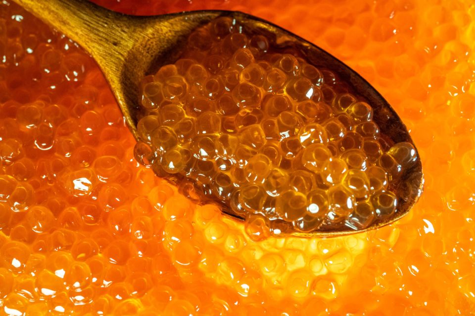 ����� ������� ����: ������ �� ��������� �� ������