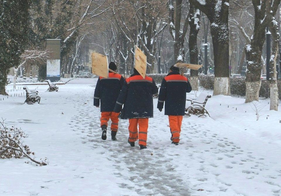 ��� ����������� �������� ������ ���������� ����� �� �����: �������� ���������