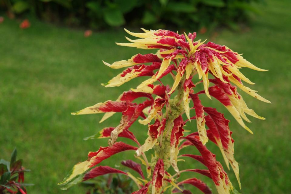 �������: ������� ��������� ���������, �������������� � ���� �����