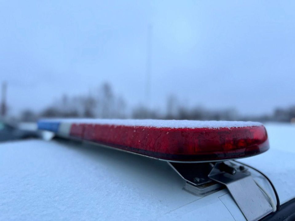 ������������ ���������������� ��������������� �������������� ������������ ��� � ������������ ������