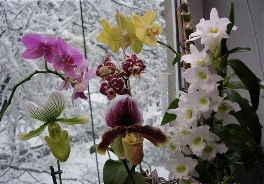 ������� ������� �������: ��� ��������� ������� ������� � ������