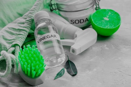 ������ ����� � ������ � ������� ���������� ��� ������ ����