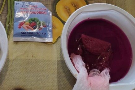 Эффективные способы дезинфекции семян томатов, перца и баклажанов